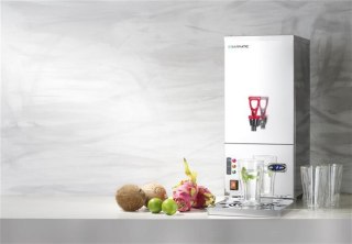 Automatyczny, przepływowy warnik do wody Evergreen