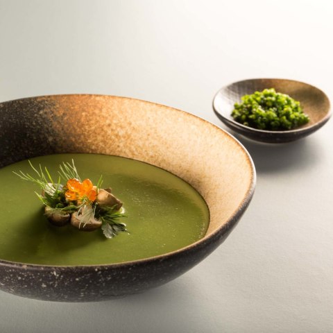 Miska gourmet Moon 270mm