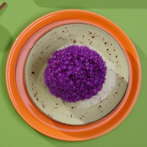 Spodek Dahlia