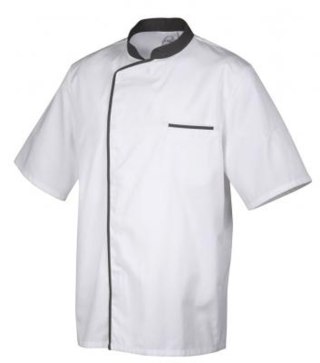 Energy, szara lamówka, krótki rękaw, rozm. XXXL