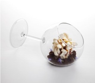 Siesta 350 ml