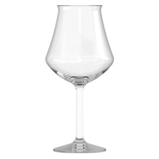 ARÔME CRAFT Kieliszek do piwa 325 ml